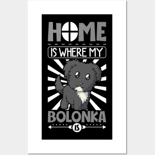 Home is where my Bolonka is - Bolonka Zwetna Posters and Art